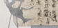 Ming